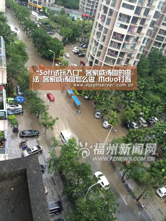 “Soft试玩入口”客家咸汤圆的做法_客家咸汤圆怎么做_木duo打吾己的菜谱(图4) PG电子免费试玩
