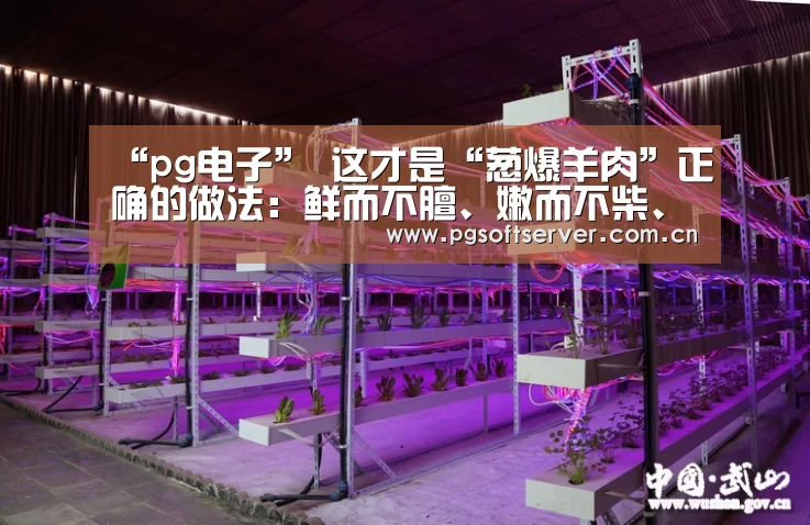 “pg电子”
这才是“葱爆羊肉”正确的做法:鲜而不膻、嫩而不柴、回味无穷(图1) PG电子免费试玩