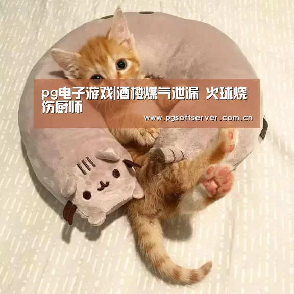 pg电子游戏|酒楼煤气泄漏 火球烧伤厨师(图4) Soft试玩入口