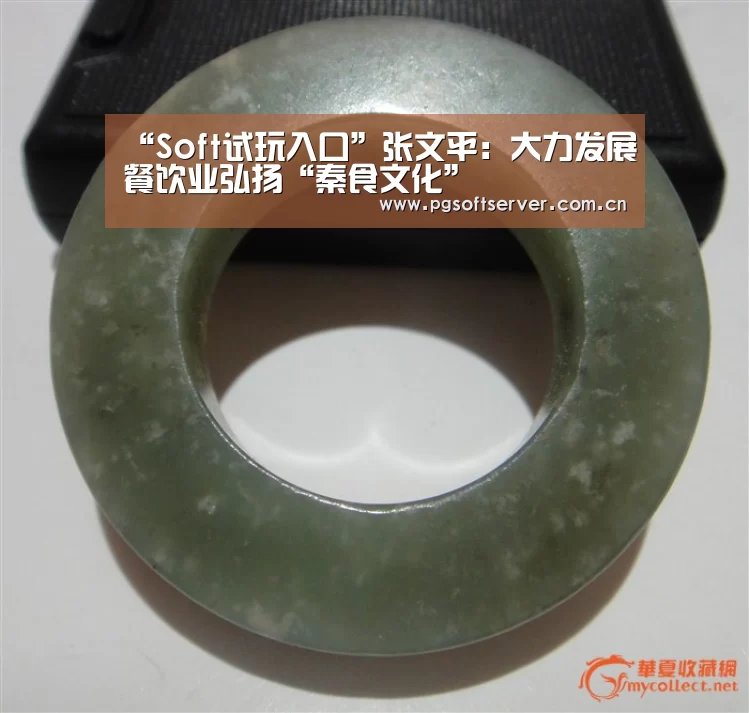 PG电子免费试玩