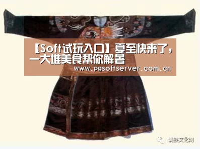 Soft试玩入口