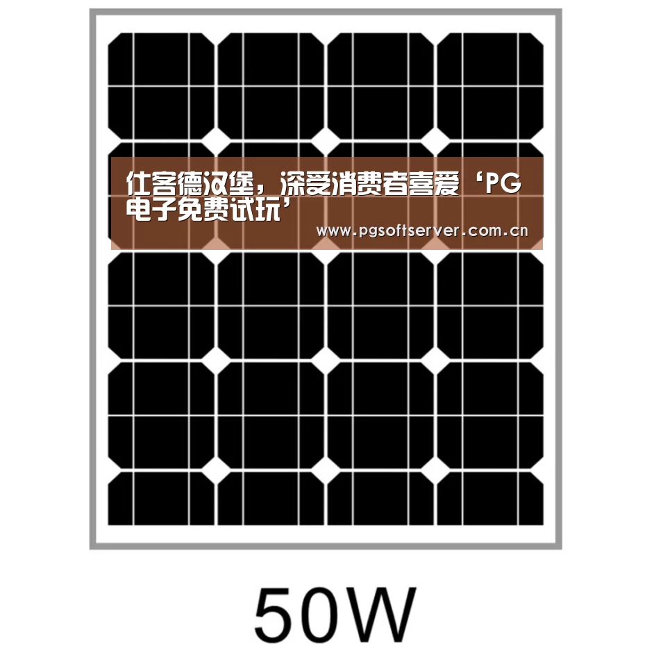 Soft试玩入口